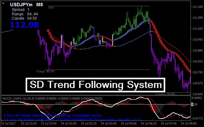 Trend following system forex hl7 protection indicator forex