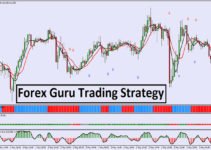 Guru forex trading